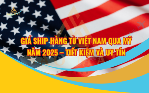 Giá ship hàng từ Việt Nam qua Mỹ 2025 – Tiết kiệm và uy tín