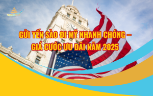 Gửi Yến Sào Đi Mỹ Nhanh Chóng – Giá Cước Ưu Đãi 2025